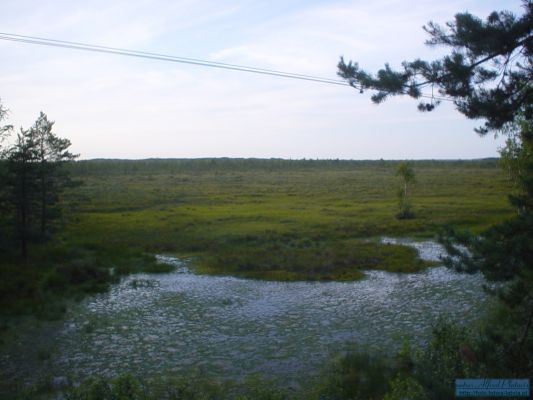 Kliknite pre zobrazenie veľkého obrázka