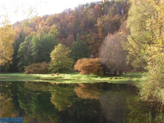 Klikni za ogled večje slike