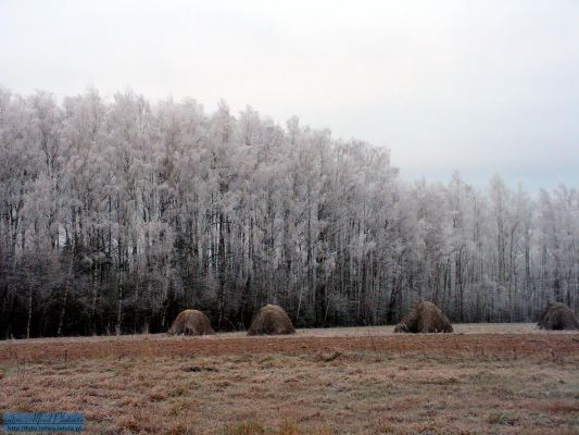 Klikni za ogled večje slike